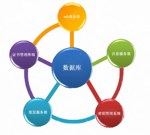 SRT1102身份认证系统 构建企业安全管理的坚固基石